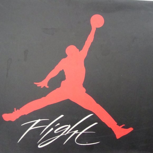 AIR JORDAN 4 RETRO OG main image 15